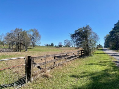 **Dream Horse & Homesteader Paradise - 20 Acres in Lucedale, MS! - photo 35