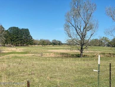 **Dream Horse & Homesteader Paradise - 20 Acres in Lucedale, MS! - photo 39