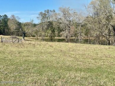 **Dream Horse & Homesteader Paradise - 20 Acres in Lucedale, MS! - photo 40