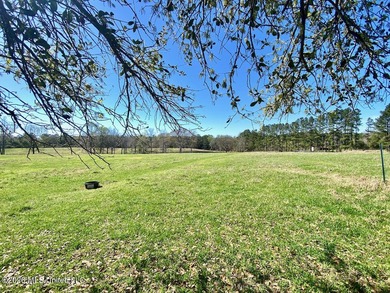 **Dream Horse & Homesteader Paradise - 20 Acres in Lucedale, MS! - photo 43