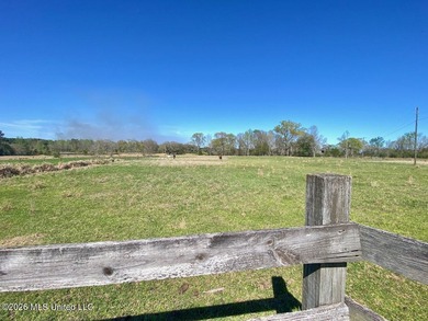 **Dream Horse & Homesteader Paradise - 20 Acres in Lucedale, MS! - photo 45