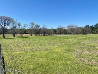 **Dream Horse & Homesteader Paradise - 20 Acres in Lucedale, MS! - photo 46