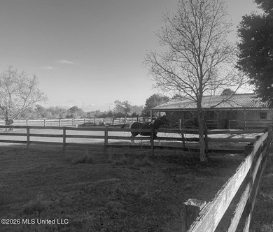 **Dream Horse & Homesteader Paradise - 20 Acres in Lucedale, MS! - photo 47