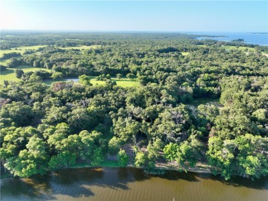 Welcome to East Lake Shores! Your PRIME, waterfront paradise on - Lake Lot For Sale in Jewett, Texas