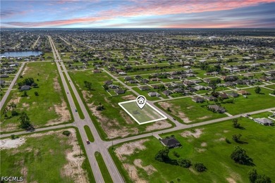 Rare Opportunity - 3 Adjacent Lots in NW Cape Coral! Seize this - photo 2