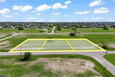 Rare Opportunity - 3 Adjacent Lots in NW Cape Coral! Seize this - photo 3