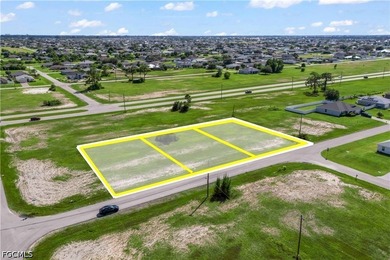 Rare Opportunity - 3 Adjacent Lots in NW Cape Coral! Seize this - photo 5