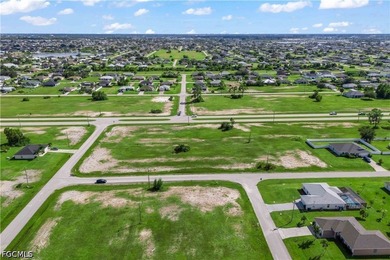Rare Opportunity - 3 Adjacent Lots in NW Cape Coral! Seize this - photo 6