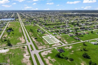 Rare Opportunity - 3 Adjacent Lots in NW Cape Coral! Seize this - photo 8