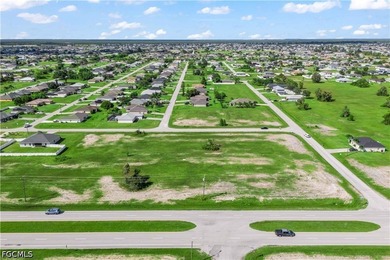 Rare Opportunity - 3 Adjacent Lots in NW Cape Coral! Seize this - photo 10