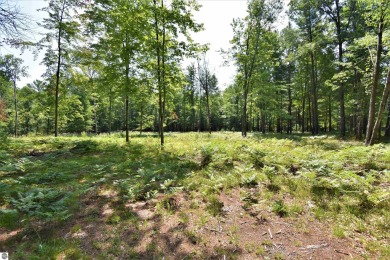 Lake Lot For Sale in Alger, Michigan