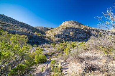 Located 1.5 miles south of Pandale in northwestern Val Verde - photo 4
