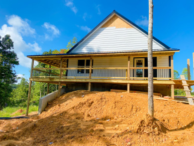 * opportunity on Nolin with overlooking view! - Lake Home For Sale in Leitchfield, Kentucky