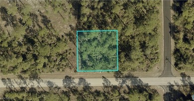 Lehigh Acres Area Lot For Sale in Lehigh Acres Florida