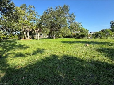 Stop searching-your perfect homesite is here! Discover this - photo 6