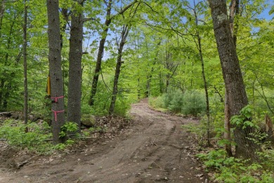 Lake Acreage For Sale in Parsonsfield, Maine