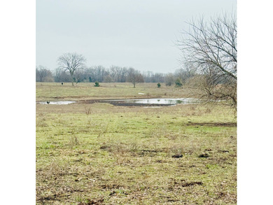 (private lake, pond, coastal) Acreage For Sale in Salisbury Missouri