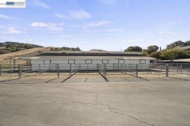 CUSTOM BAY AREA RANCH ESTATE ~ Experience the ultimate in ranch - photo 7