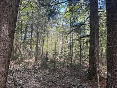 Muddy Pond Acreage For Sale in Damariscotta Maine