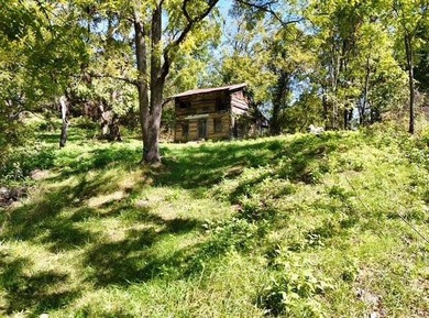 13.8 Acre unrestricted property less than 2 miles to Public Boat - photo 2