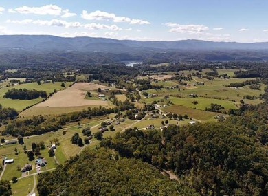 13.8 Acre unrestricted property less than 2 miles to Public Boat - photo 4