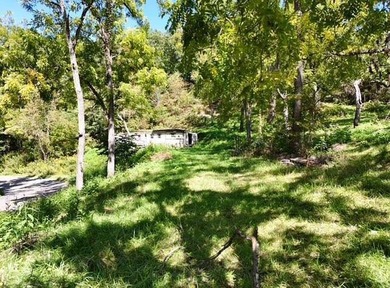 13.8 Acre unrestricted property less than 2 miles to Public Boat - photo 5