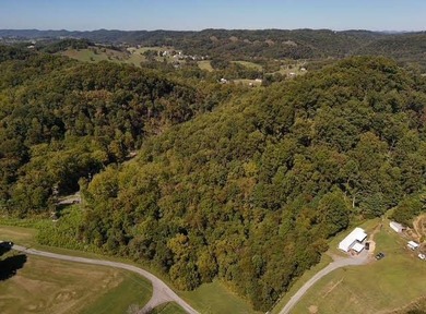 13.8 Acre unrestricted property less than 2 miles to Public Boat - photo 6