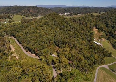 13.8 Acre unrestricted property less than 2 miles to Public Boat - photo 8
