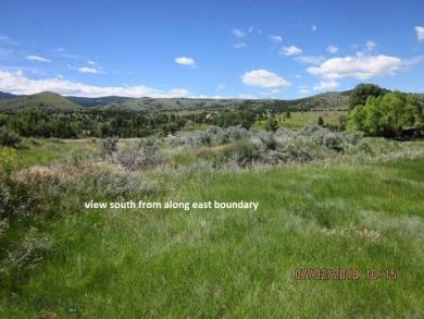 (private lake, pond, creek) Lot For Sale in Nevada City Montana