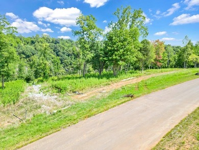 Smith Mountain Lake Lot For Sale in Hardy Virginia