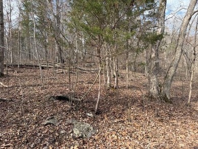 217.088 Acres in Three Separate Tracts Discover the perfect - photo 13