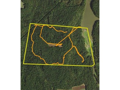 217.088 Acres in Three Separate Tracts Discover the perfect - photo 14