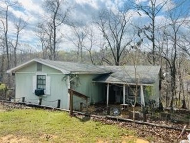 Lake Eufaula / Walter F George Reservoir Home For Sale in Abbeville Alabama
