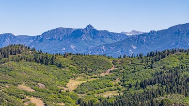 Just 31 miles south of Pagosa Springs, CO and less than 2 miles - photo 2