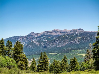Just 31 miles south of Pagosa Springs, CO and less than 2 miles - photo 3