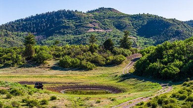 Just 31 miles south of Pagosa Springs, CO and less than 2 miles - photo 4