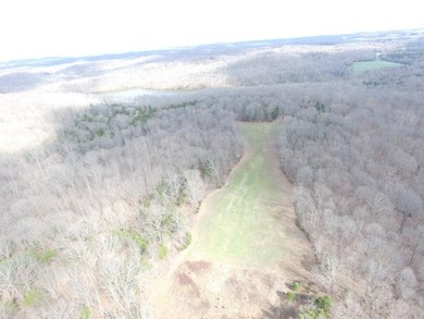 217.088 Acres in Three Separate Tracts Discover the perfect - photo 24
