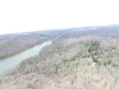 217.088 Acres in Three Separate Tracts Discover the perfect - photo 25