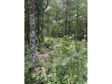 Ready to build that lake getaway or vacation rental tucked up in - photo 6