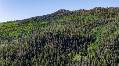 Just 31 miles south of Pagosa Springs, CO and less than 2 miles - photo 6