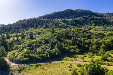 Just 31 miles south of Pagosa Springs, CO and less than 2 miles - photo 8