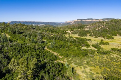 Just 31 miles south of Pagosa Springs, CO and less than 2 miles - photo 9