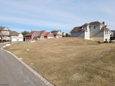 Prime vacant land lot located in Crystal Spring, ready for your - photo 4