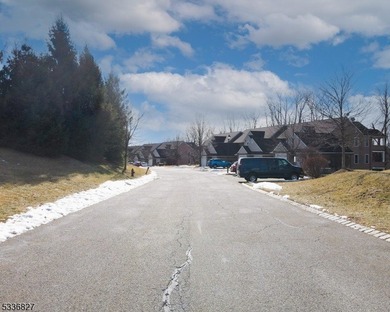 Prime vacant land lot located in Crystal Spring, ready for your - photo 7
