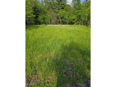 Westbranch Lake Lot Sale Pending in Alliance Ohio