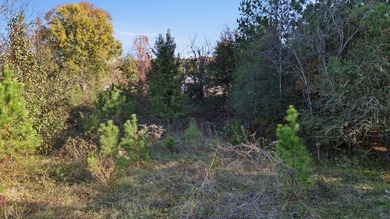Attention Developers and Investors! Don't miss this exceptional - photo 10