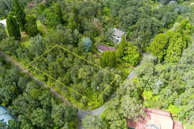Tucked away in Volcano Village, this property is quiet, serene - photo 1