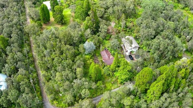 Tucked away in Volcano Village, this property is quiet, serene - photo 3