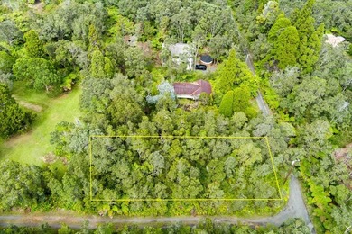 Tucked away in Volcano Village, this property is quiet, serene - photo 4