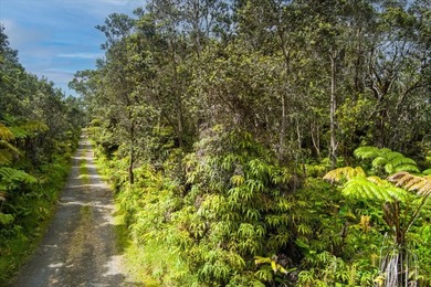 Tucked away in Volcano Village, this property is quiet, serene - photo 6
